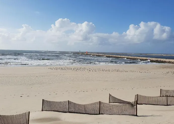 Sonhosqrodopiam Da *